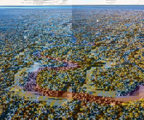 Tour the Amazon Rainforest