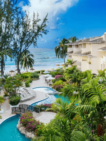 Bougainvillea Barbados