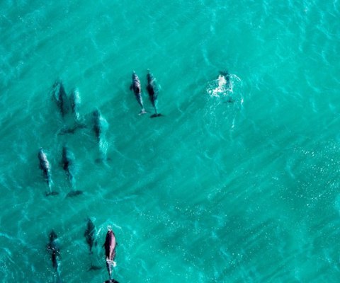 Take a road trip through the South West