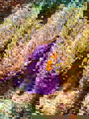 Learn about conservation