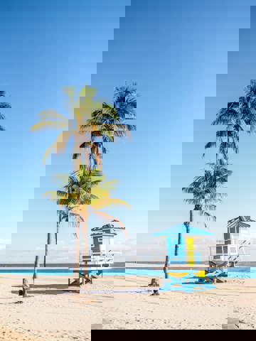 Surf, swim, and paddleboard