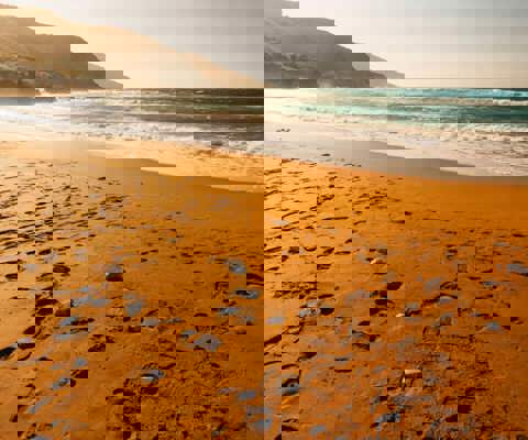 Relax at Ramla il-Ħamra  