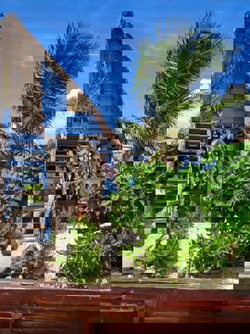 Fresh lagoon seafood specialities