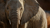 Discover the world differently with National Geographic Signature with G Adventures