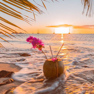 The Antigua dining experience