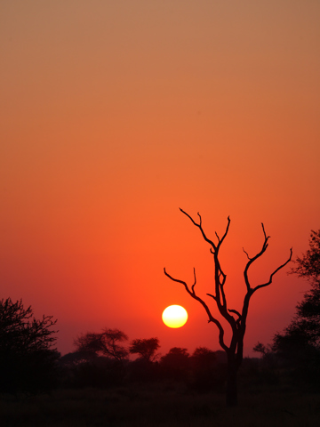 Pause for a sundowner