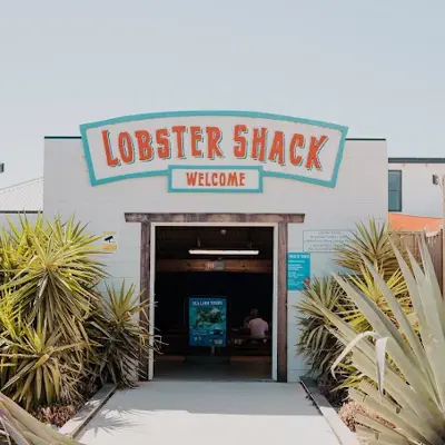 Rock Lobster - Rottnest Island