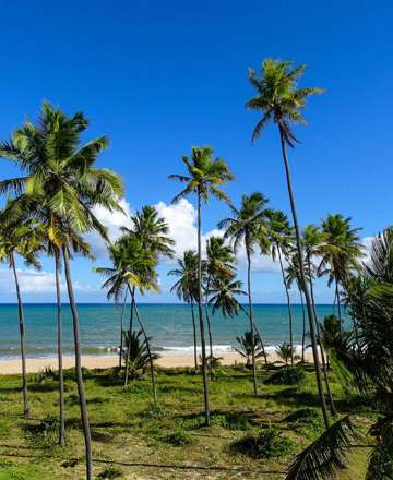 A Brazilian adventure