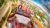 Discover family-friendly adventures across the USA  