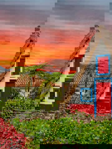 Traditional Santana flavours