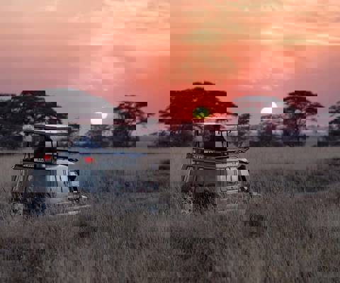 Bush to beach: a Tanzania & Zanzibar family adventure