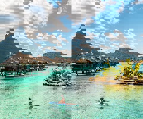 Tropical fruits and desserts