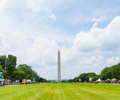 Take a stroll around the National Mall