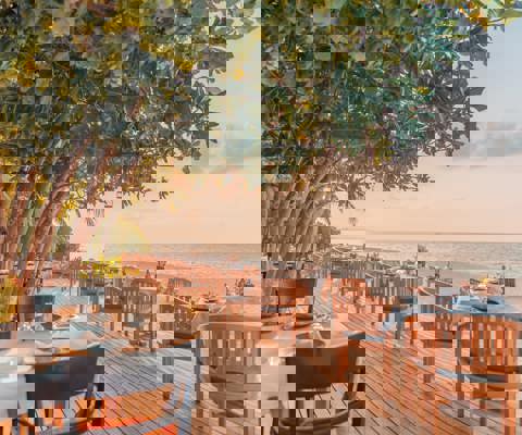 Poisson cru with coconut