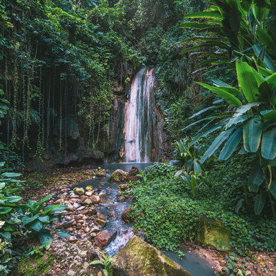 Explore hidden peaks and rainforest vistas