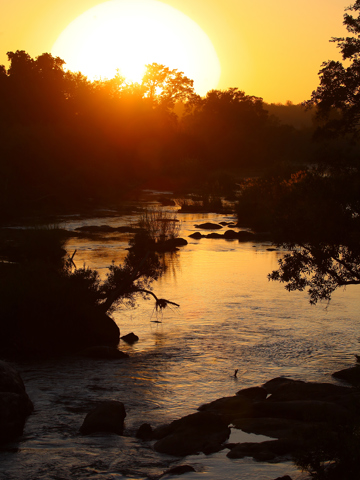 Follow the rivers on safari in Karongwe