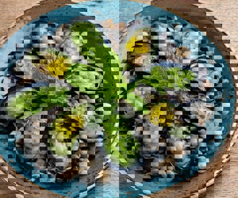 Catalan market fresh