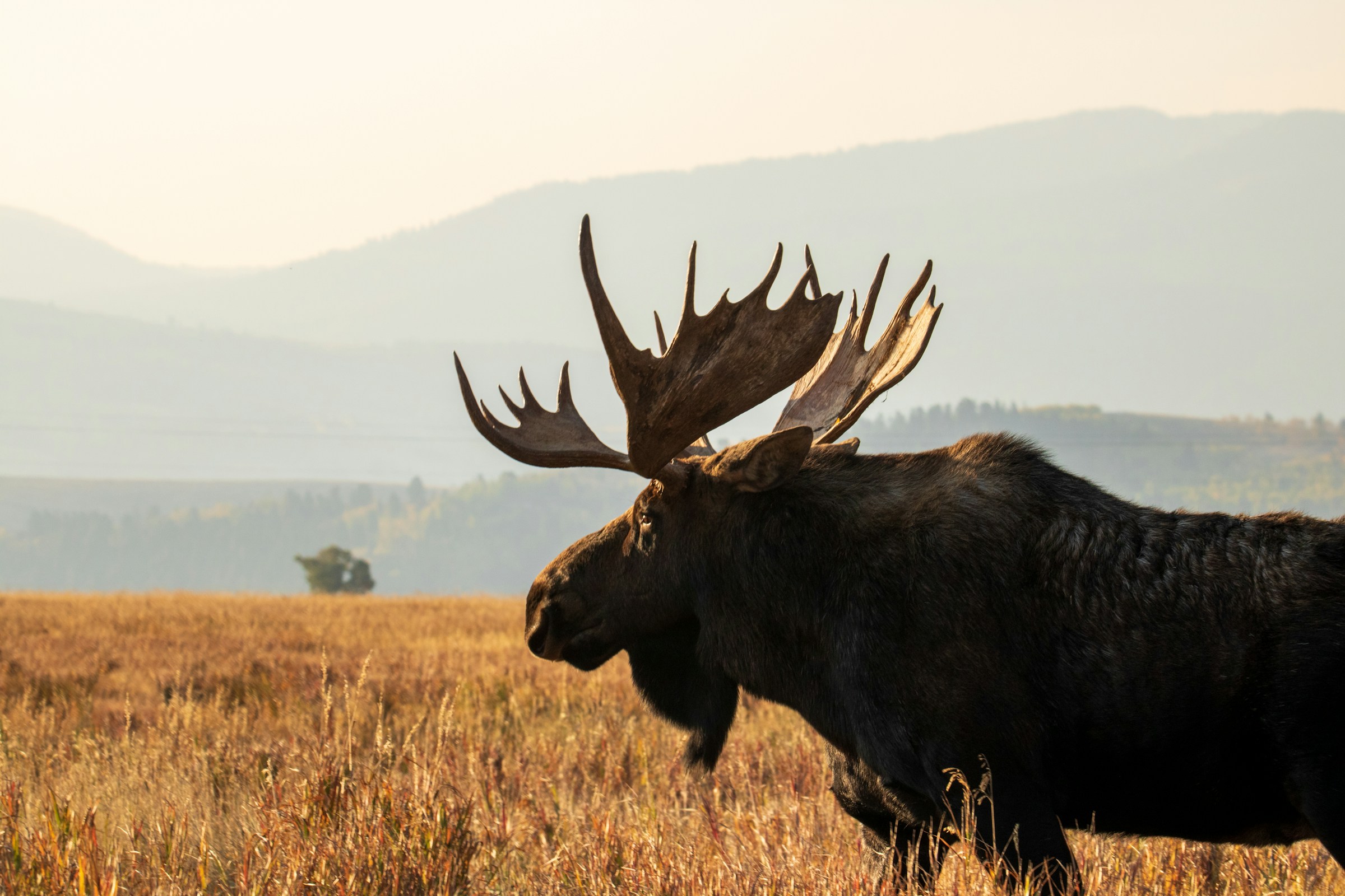 Explore the beauty of America's national parks