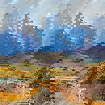 Discover wild Patagonia from Ushuaia