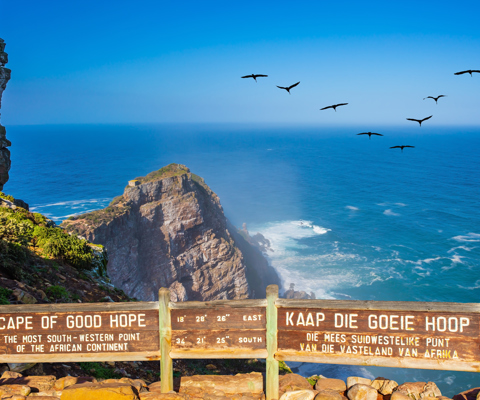 Take the scenic route to Cape Point