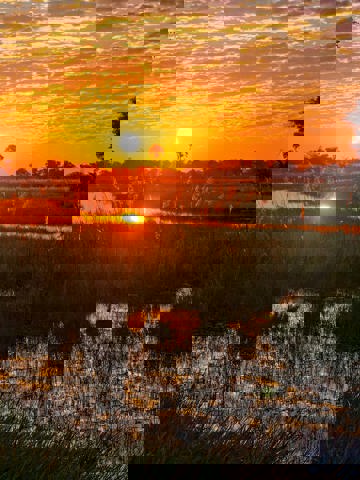 Riverside picnics and brunches in the wild