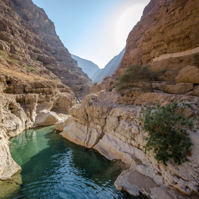 Swim through Wadi Shab’s hidden pools