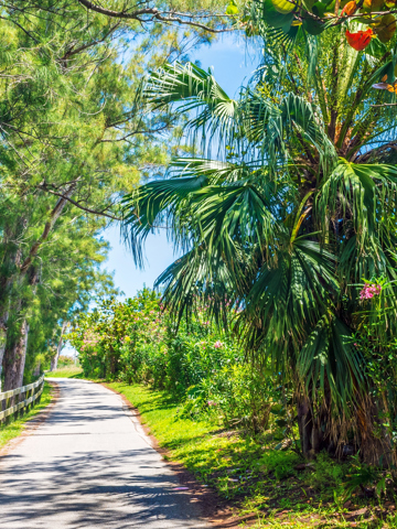 Cycle and hike scenic trails