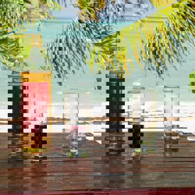 Visit Chamarel and the southwest 