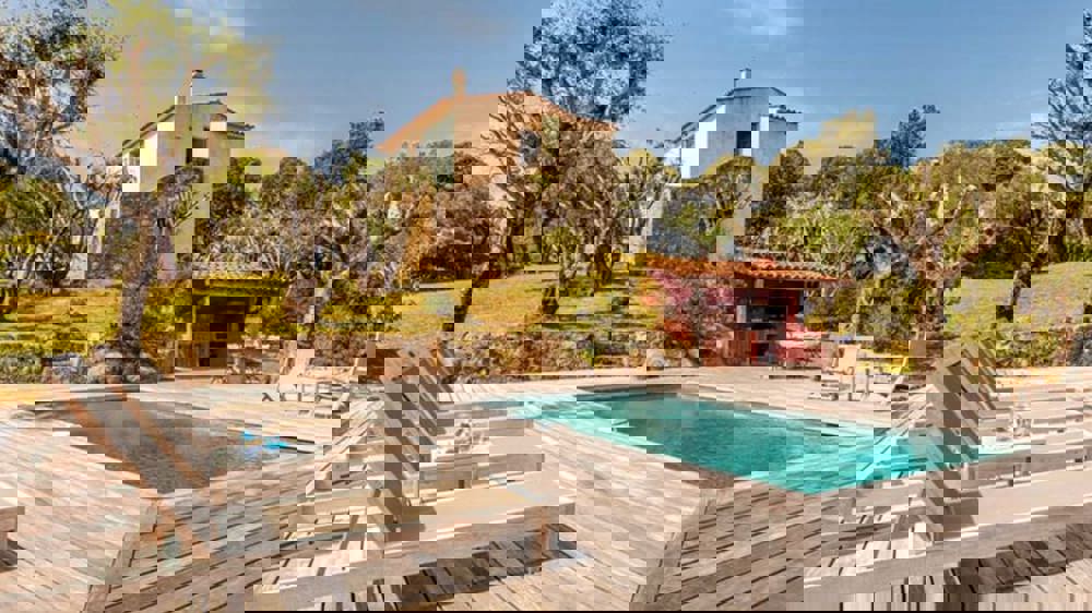 Our favourite Corsican villas for summer fun