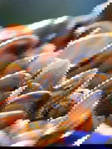 Ethically sourced seafood