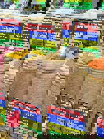 Indian‑influenced curries and thalis