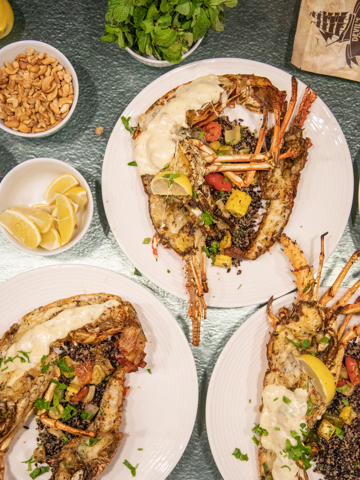Bermuda spiny lobster