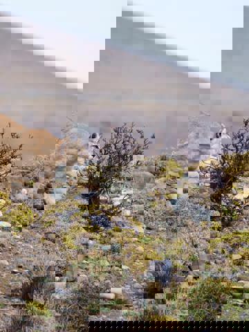 Trek Patagonia’s Glaciers and Peaks