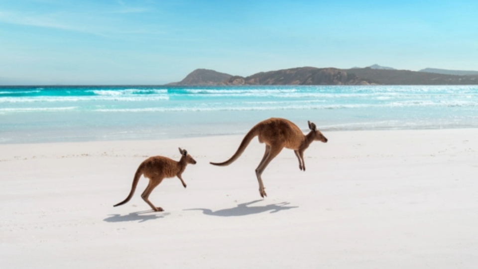 Discover the dual wonders of Western and South Australia