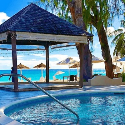 Bougainvillea Barbados