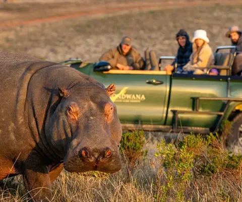 Gondwana Game Reserve