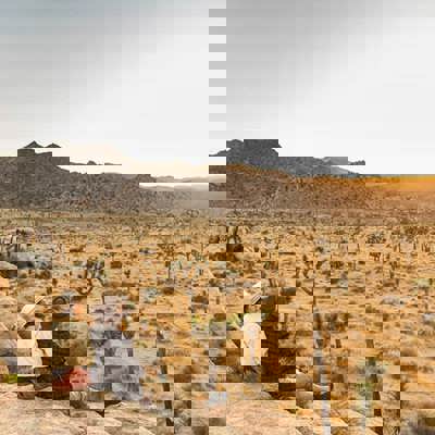 Venture into the wilderness