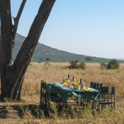 Enjoy breakfast in the bush
