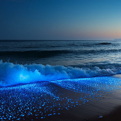 Experience the magic of Luminous Lagoon