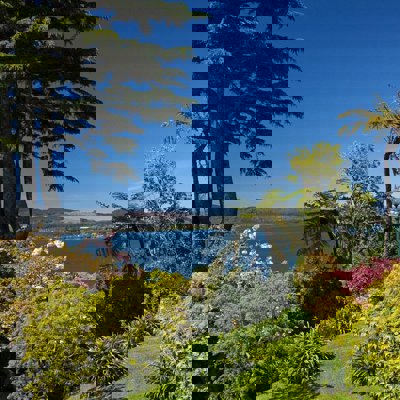 On the Point, Rotorua