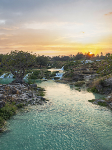 See Salalah turn green in Khareef
