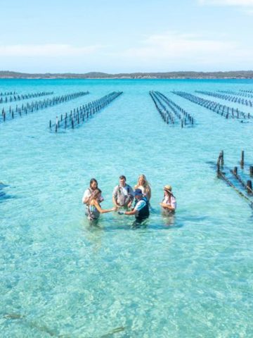 Visit the Eyre Peninsula