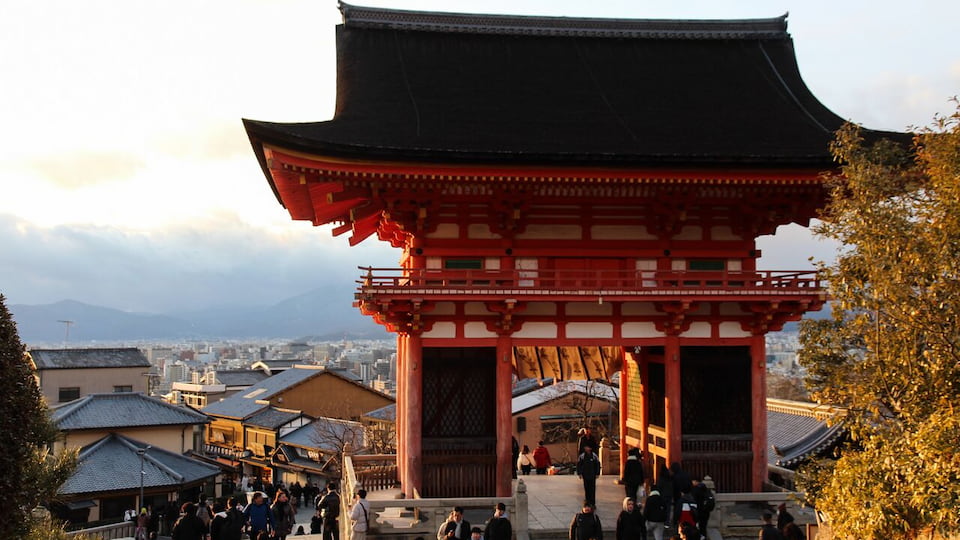 Experience the best of Japan on a small group tour 