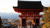 Experience the best of Japan on a small group tour 