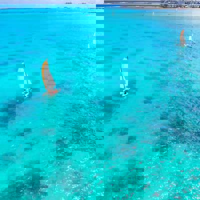 Snorkel, sail, and swim in the lagoons