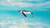 Unveil the magic of the Great Barrier Reef