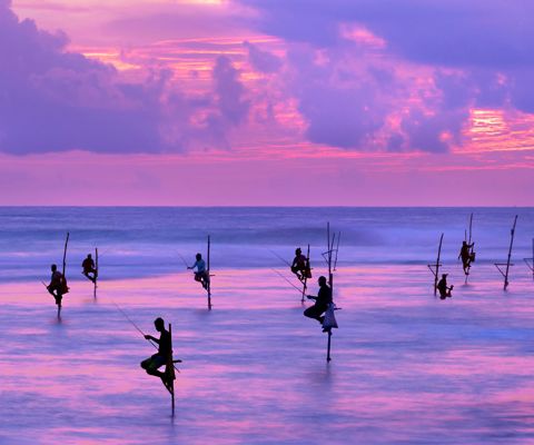 Seafood feasts on the coast