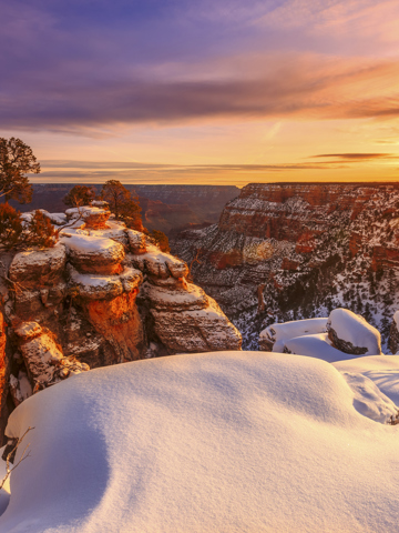 California Dreaming: Hollywood Hills to the Golden Gate Bridge