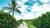 Experience the sun, sea, and beauty of Florida