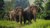 Luxury glamping meets elephant conservation in Thailand 